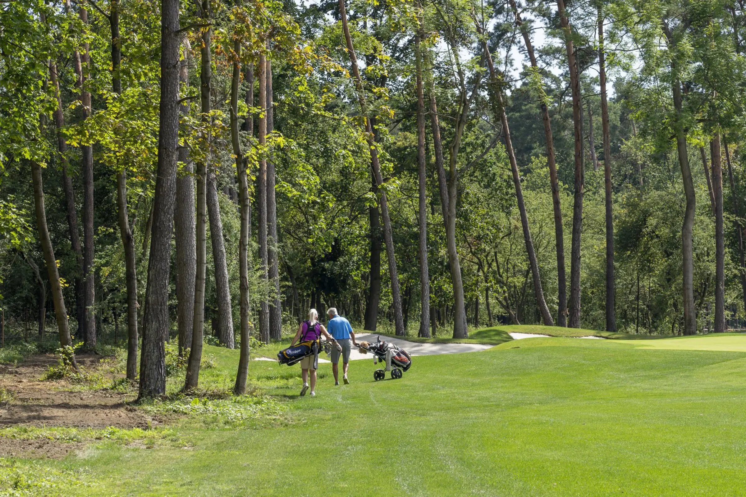Pole golfowe